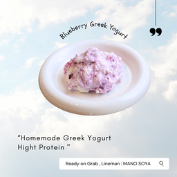 Blueberry Greek Yogurt