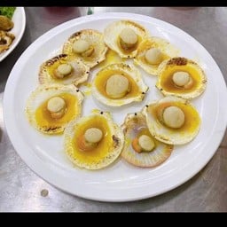 หอยเชลล์ จานเล็ก