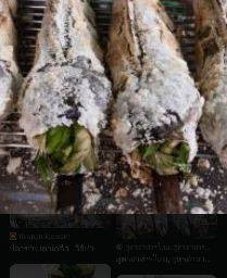 ปลาช่อนเผาเกลือ