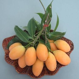 มะปรางหวาน ครึ่ง กิโลกรัม