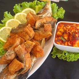 ปลากระพงสยาม(ไซด์ 1 กก 2 ขีด