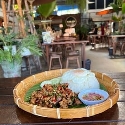 กะเพราไก่