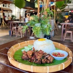 กะเพราเอ็นข้อไก่