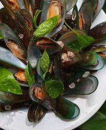 หอยแมลงภู่ลวก