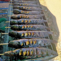 เปิ้ล มินิ 3 แยก ( 3 แยกป่าไร่)