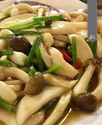 ผัดเห็ดรวมน้ำมันหอย