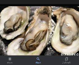 เกาเหลาหอยนางรม