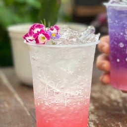 ลิ้นจี่ รีเทิร์น