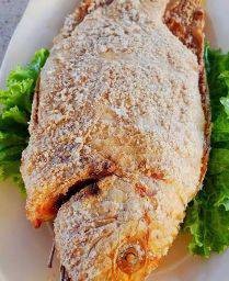 ปลาทับทิมเผา