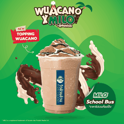 วัวล้วนล้วน ไมโล สคูลบัส (จูเนียร์)