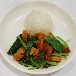 ข้าวราดคะน้าหมูกรอบเจ