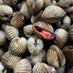 หอยแครงสด ครึ่งกิโล