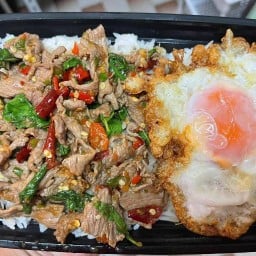 กะเพราอนุบาล