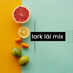 น้ำปั่นผลไม้ Lark-Lai-MIX