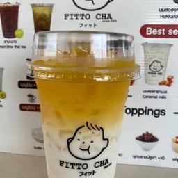 FITTO CHA