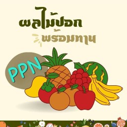 ผลไม้สดปอก พร้อมทาน CK บึงกระจับ