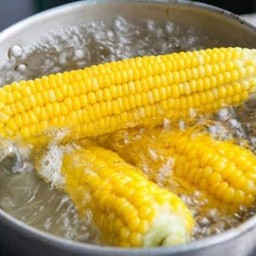 ข้าวโพดต้ม 1 ฝัก