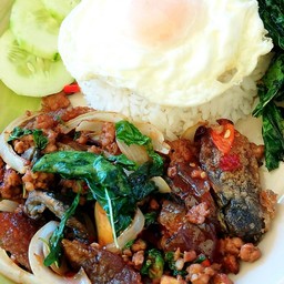ข้าวราดกระเพราไข่เยี่ยวม้า ไก่สับ