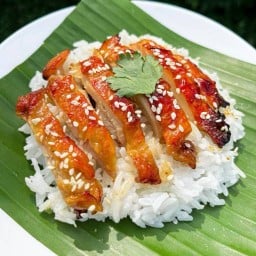 ข้าวไก่เทอริยากิ คั่วกลิ้งไก่ + ไข่ต้ม