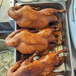 Half a Duck, Cut Into Pieces