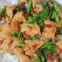 กระเพราหมูชิ้น