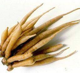 ขิงกะชัย