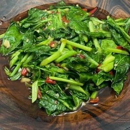 ผัดคะน้า