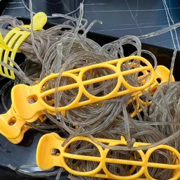 วุ้นเส้นเสฉวน