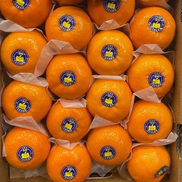 ส้มแมนดาริน 16 ลูก ไซต์XL หวาน อร่อย พร้อมกล่อง 1เซต