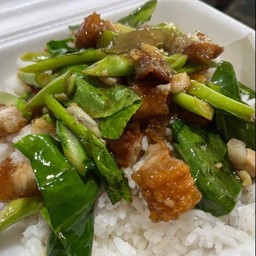 ข้าวราดผัดคะน้า