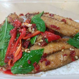 ปลาทูเถื่อนผัดพริกใบโหระพาราดข้าว