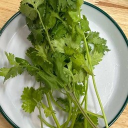 ผักชี