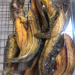 ปลาดุกแดดเดียว