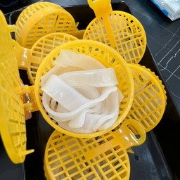 วุ้นเส้นถั่วลันเตา