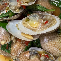 หอยลายผัดจืด