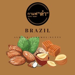 เมล็ดกาแฟ บราซิล