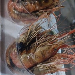 กุ้งดอง กุ้งเผา กระเพราข้าวหอม หมู/ไก่ 05.00-12.00/16.00-23.00