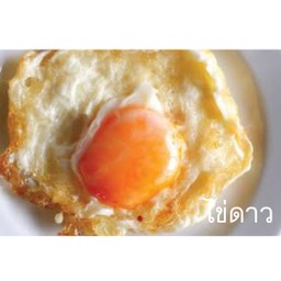 Fried Egg