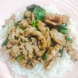 หมูชิ้นผัดน้ำมันหอย ใบโหระพา