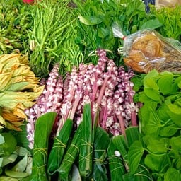 ผักเมือง(กำ)