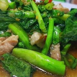 คะน้าน้ำมันหอย