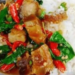 กะเพราโบราณพริกแห้งหมูกรอบราดข้าว