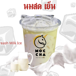 Fresh Milk (Ice)