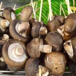 เห็ดหอม