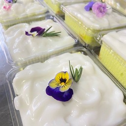 Pandan Coconut Cake