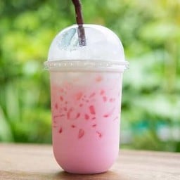 CHA-NIC-KU (หนองบัว)