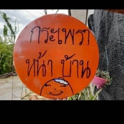 กระเพราหน้าบ้าน ทับมา