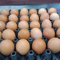 ไ่ข่ลวก