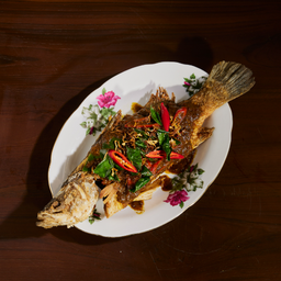 MENU_2596270yZ_1707485408