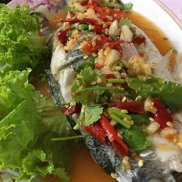 ปลากระพงนื้งมะนาว ( ตัว )